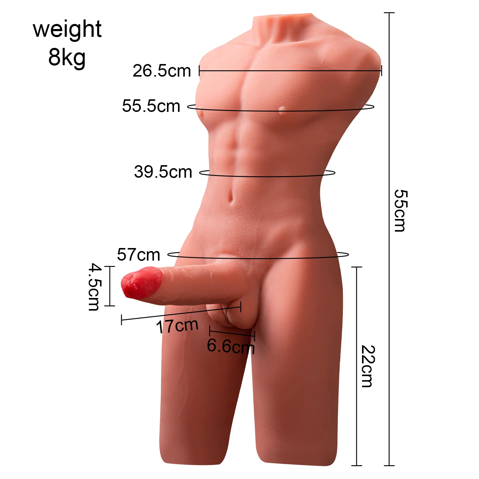 17.6 LB Realistic 3D Male Torso with 6.7 Inch Simulated Penis - Image 4