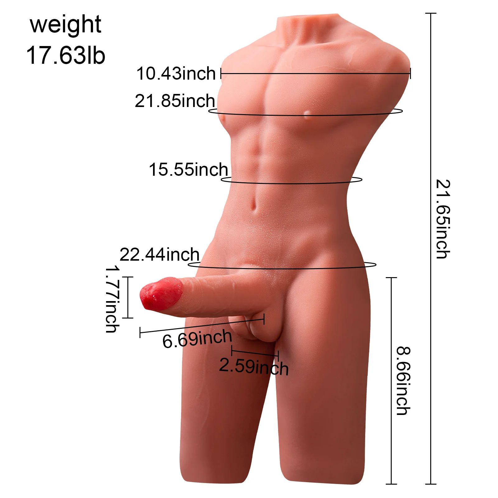 17.6 LB Realistic 3D Male Torso with 6.7 Inch Simulated Penis - Image 5