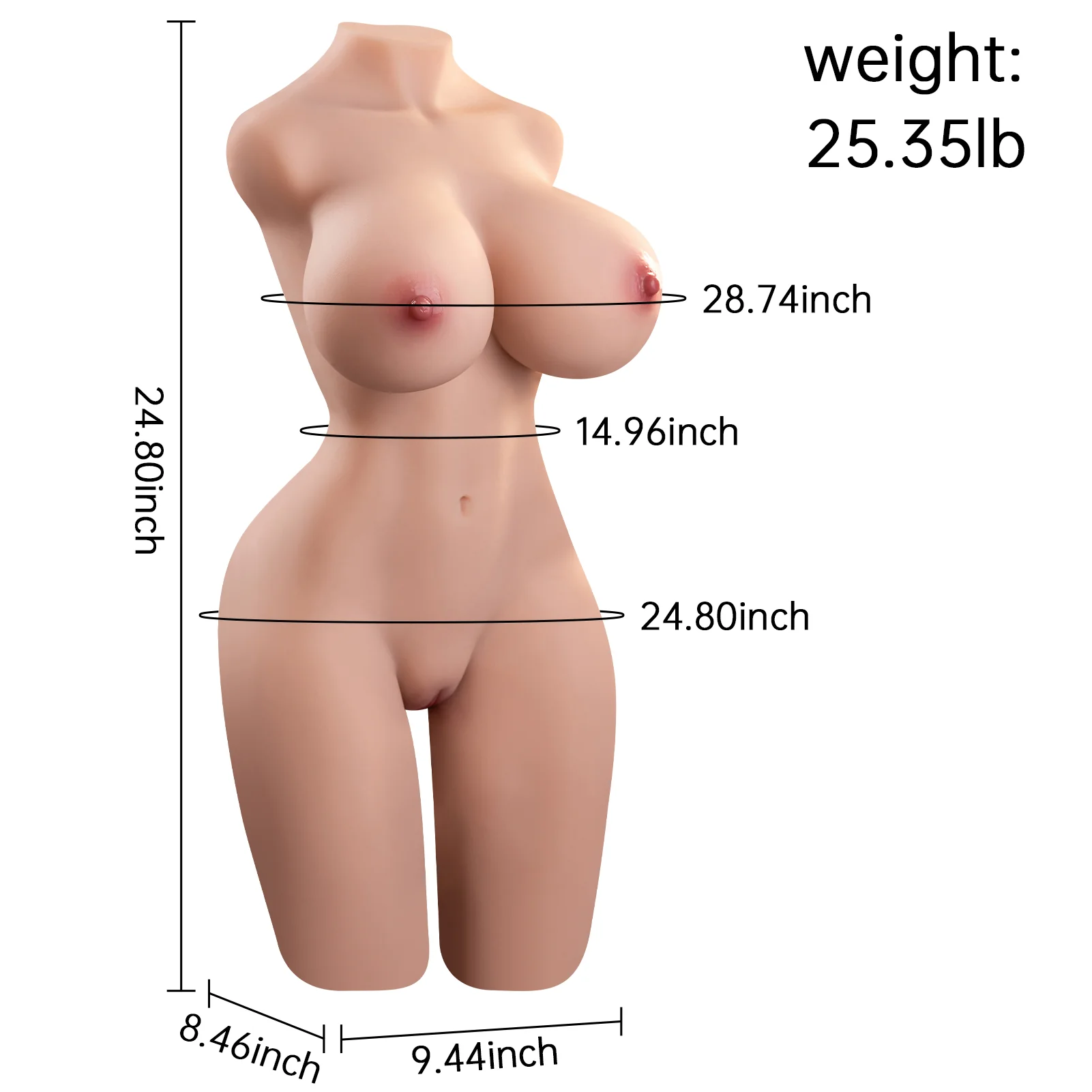 25.4LB Realistic Female Torso Doll with E-Cup & Curves - Image 4